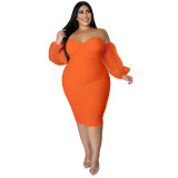 Plus Size Women Mesh Pleated Long Sleeve Dress