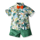 Summer short-sleeved floral shirt boys shorts Casual two-piece children's clothing multi-color beach clothing