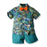 Summer short-sleeved floral shirt boys shorts Casual two-piece children's clothing multi-color beach clothing