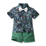 Summer short-sleeved floral shirt boys shorts Casual two-piece children's clothing multi-color beach clothing