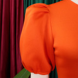 Retro Round Neck Chic Puff Sleeve Slim Waist A-Line Swing Party Dress