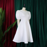 Retro Round Neck Chic Puff Sleeve Slim Waist A-Line Swing Party Dress