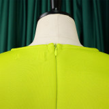 Retro Round Neck Chic Puff Sleeve Slim Waist A-Line Swing Party Dress
