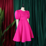 Retro Round Neck Chic Puff Sleeve Slim Waist A-Line Swing Party Dress