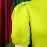 Retro Round Neck Chic Puff Sleeve Slim Waist A-Line Swing Party Dress