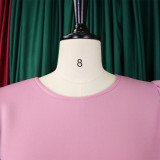 Retro Round Neck Chic Puff Sleeve Slim Waist A-Line Swing Party Dress