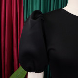 Retro Round Neck Chic Puff Sleeve Slim Waist A-Line Swing Party Dress