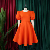 Retro Round Neck Chic Puff Sleeve Slim Waist A-Line Swing Party Dress