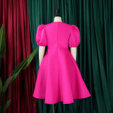 Retro Round Neck Chic Puff Sleeve Slim Waist A-Line Swing Party Dress