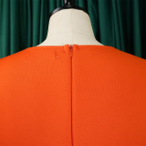 Retro Round Neck Chic Puff Sleeve Slim Waist A-Line Swing Party Dress