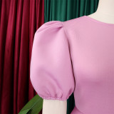 Retro Round Neck Chic Puff Sleeve Slim Waist A-Line Swing Party Dress