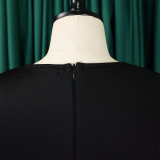 Retro Round Neck Chic Puff Sleeve Slim Waist A-Line Swing Party Dress