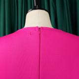 Retro Round Neck Chic Puff Sleeve Slim Waist A-Line Swing Party Dress