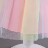 Infant and Toddler Dresses Floral Dress Multi-Color Mesh Pouf Princess Dress