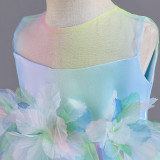 Infant and Toddler Dresses Floral Dress Multi-Color Mesh Pouf Princess Dress