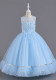 Girls Trendy Evening Dress Birthday Princess Dress Long Mesh Sequin Stage Catwalk Piano Costume