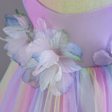 Infant and Toddler Dresses Floral Dress Multi-Color Mesh Pouf Princess Dress