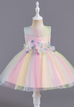 Infant and Toddler Dresses Floral Dress Multi-Color Mesh Pouf Princess Dress