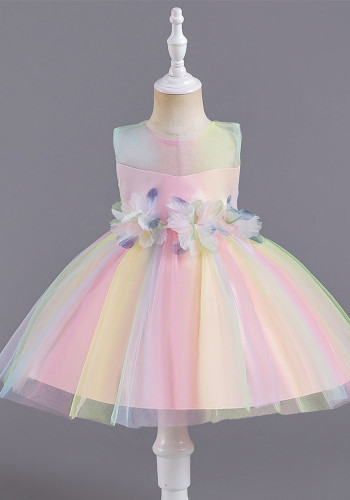 Infant and Toddler Dresses Floral Dress Multi-Color Mesh Pouf Princess Dress