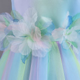 Infant and Toddler Dresses Floral Dress Multi-Color Mesh Pouf Princess Dress