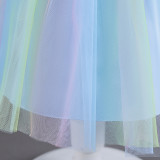 Infant and Toddler Dresses Floral Dress Multi-Color Mesh Pouf Princess Dress