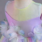 Infant and Toddler Dresses Floral Dress Multi-Color Mesh Pouf Princess Dress