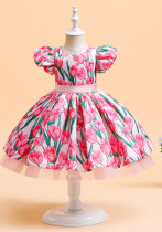 Girls' Dress Princess Dress Puff Skirt Puff Sleeve Printed Flower Girl Catwalk Costume Children's Dress