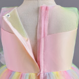 Infant and Toddler Dresses Floral Dress Multi-Color Mesh Pouf Princess Dress