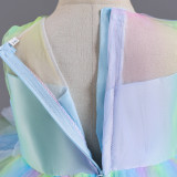 Infant and Toddler Dresses Floral Dress Multi-Color Mesh Pouf Princess Dress