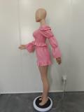 Sexy women's blouse with piled sleeves and pleated suit
