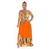 Women's Fashion Contrasting Color Sleeveless Wrap Maxi Dress