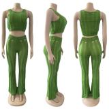 Summer Women Sexy Round Neck Sleeveless Ripped Crop Top and Pant Two-Piece Set