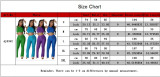 Summer Women Sexy Round Neck Sleeveless Ripped Crop Top and Pant Two-Piece Set