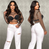 Women Solid mesh Beaded Beaded Long Sleeve Top