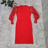 Plus Size Women's See-Through Mesh Balloon Sleeve Bodycon Dress