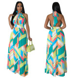 Women Halter Neck Backless Pleated Print Sleeveless Dress