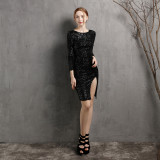 Elegant Evening Dress Dinner Party Formal Party Sexy Nightclub Girl Chic Elegant Short Dress
