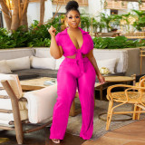 Women Lace-Up Crop Top and Pleated Wide-Leg Pants Two-Piece Set