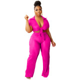Women Lace-Up Crop Top and Pleated Wide-Leg Pants Two-Piece Set