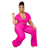 Women Lace-Up Crop Top and Pleated Wide-Leg Pants Two-Piece Set