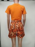 Customize Women Solid Color T-Shirt and Snake Print Shorts Two-Piece Set
