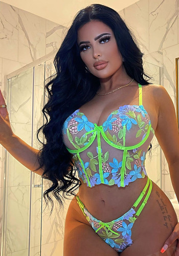 Sexy lingerie sexy women embroidery mesh strap Bikini sexy suit