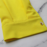 Ruffle Sleeve Crop Short turndown collar Shirt High Waist Casual Fashion pants Women's Two-piece Set