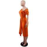 Chic One Shoulder Slim Pencil dress Chic Evening Gown Dress