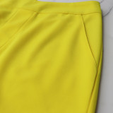 Ruffle Sleeve Crop Short turndown collar Shirt High Waist Casual Fashion pants Women's Two-piece Set