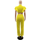 Ruffle Sleeve Crop Short turndown collar Shirt High Waist Casual Fashion pants Women's Two-piece Set
