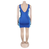 Women Contrasting Ruffles Line Irregular Mini Dress