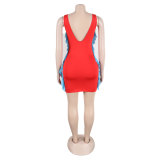 Women Contrasting Ruffles Line Irregular Mini Dress