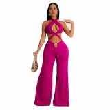 Women's Nightclub Sexy Cutout Halter Neck Wide Leg Jumpsuit