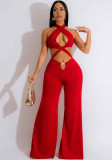 Women's Nightclub Sexy Cutout Halter Neck Wide Leg Jumpsuit